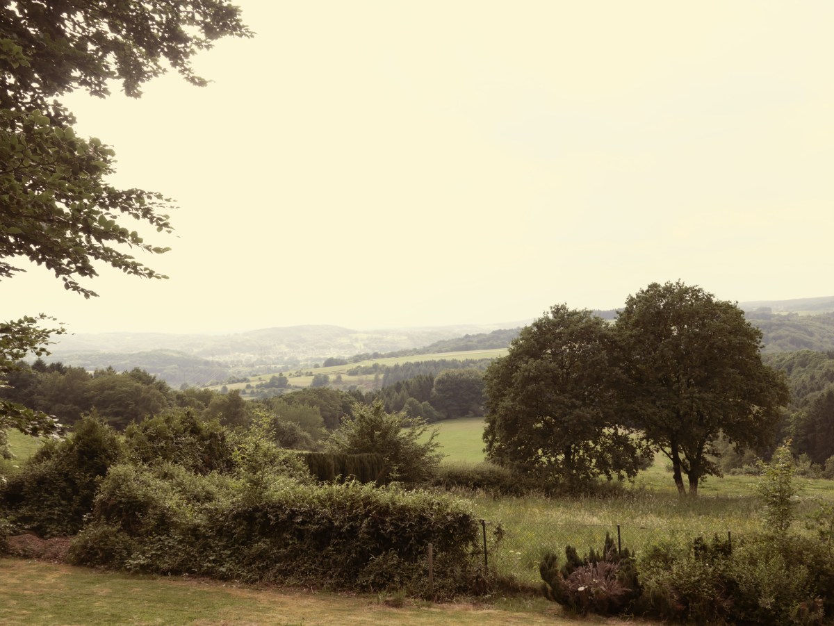 Ferienwohnung Talblick Windeck - Aussicht ins Windecker Tal